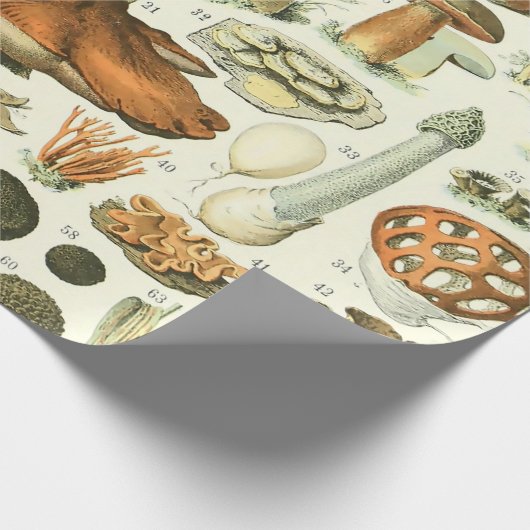 Adolphe Millot Champignon Champignon Pilz Print Geschenkpapier (Ecke)