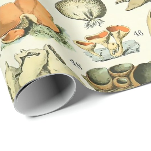 Adolphe Millot Champignon Champignon Pilz Print Geschenkpapier (Rolleneckpunkt)