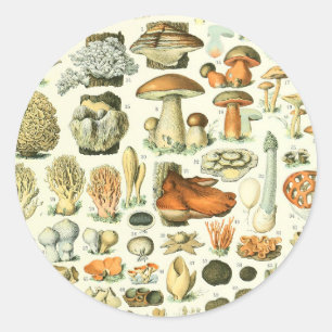 Adolphe Millot Champignon Champignon Pilz Print Runder Aufkleber