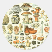 Adolphe Millot Champignon Pilz Print