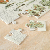 Adolphe Millot Champignon Puzzle (Seite)