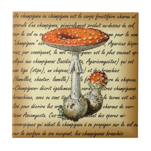 Adolphe Millot ~ Champignons-pour tous-fixed ~ Fliese (Vorderseite)