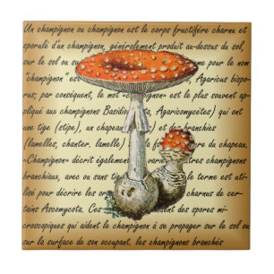 Adolphe Millot ~ Champignons-pour tous fixiert ~  Fliese