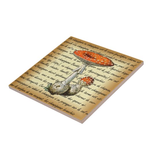 Adolphe Millot ~ Champignons-pour tous fixiert ~  Fliese (Seite)