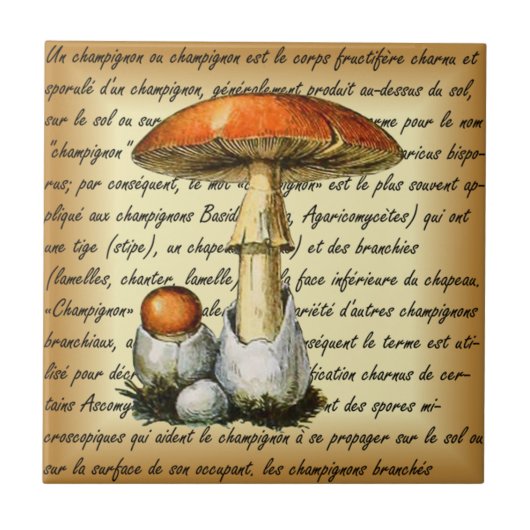 Adolphe Millot ~ Champignons-pour tous fixiert ~ Fliese (Vorderseite)