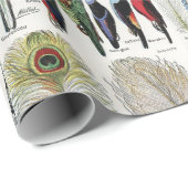Adolphe Millot Dark Academia Vintage Bird Feather Geschenkpapier (Rolleneckpunkt)