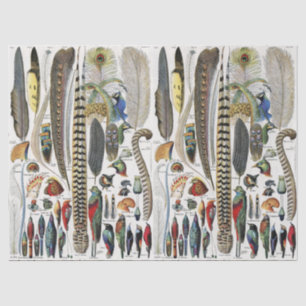 Adolphe Millot Dark Academia Vintage Vogel Feder Seidenpapier