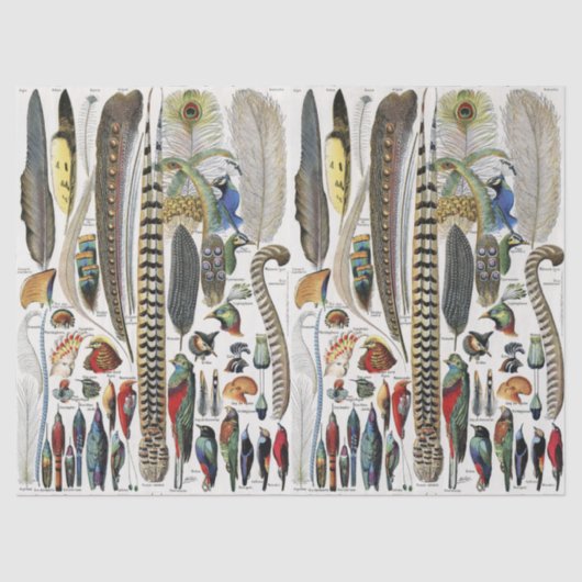 Adolphe Millot Dark Academia Vintage Vogel Feder Seidenpapier (Vorderseite)