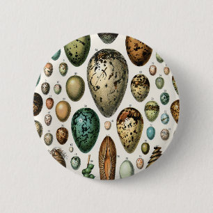 Adolphe Millot Dark Academia Vintage-Vogelei-Kunst Button