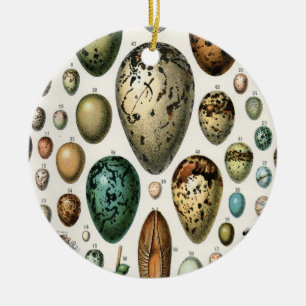 Adolphe Millot Dark Academia Vintage-Vogelei-Kunst Keramik Ornament