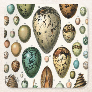 Adolphe Millot Dark Academia Vintage Vogelei Kunst Rechteckiger Pappuntersetzer