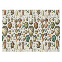Adolphe Millot Dark Academia Vintage-Vogelei-Kunst