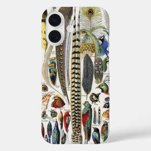 Adolphe Millot Dark Academia Vintage Vogelfeder iPhone 16 Hülle
