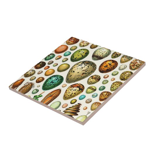 Adolphe Millot Ei-Keramiken Fliese (Seite)