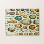 Adolphe Millot Eier Puzzle (Horizontal)