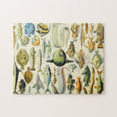 Adolphe Millot Fisch A Puzzle (Horizontal)