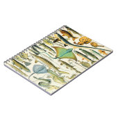 Adolphe Millot Fisch B Notizblock (Linke Seite)