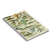 Adolphe Millot Fish Pattern-A Notizblock (Rechte Seite)
