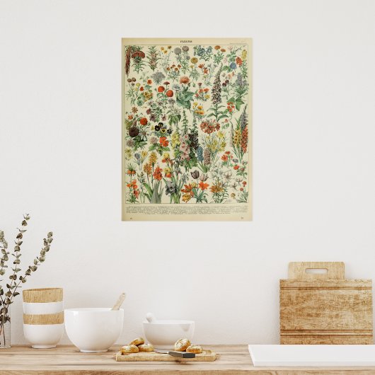Adolphe Millot Fleurs Poster (Küche)