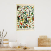 Adolphe Millot Florale Illustrations-Kunstdruck Poster (Küche)