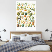 Adolphe Millot Frucht Canvas Print Leinwanddruck (Insitu (Schlafzimmer))
