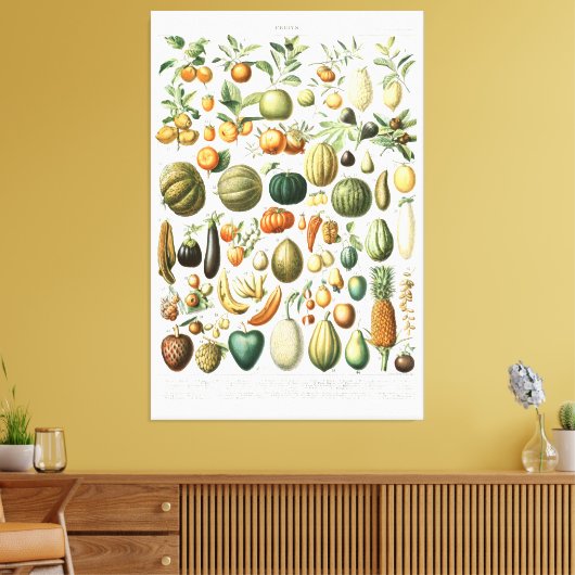 Adolphe Millot Frucht Canvas Print Leinwanddruck (Insitu (Wohnzimmer))