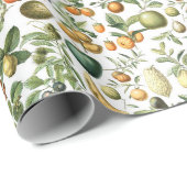 Adolphe Millot Fruit Pattern Geschenkpapier (Rolleneckpunkt)