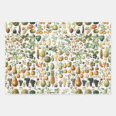 Adolphe Millot Fruit Pattern Geschenkpapier Set (Vorderseite 2)