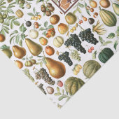 Adolphe Millot Fruit Pattern Gewebe Papier (Detail)