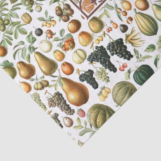 Adolphe Millot Fruit Pattern Gewebe Papier (Detail)