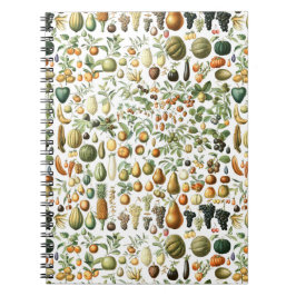 Adolphe Millot Fruit Pattern Notizblock