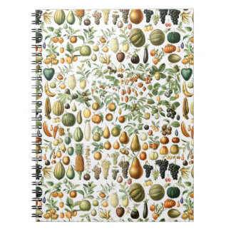 Adolphe Millot Fruit Pattern Notizblock