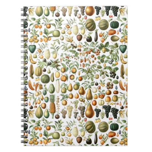 Adolphe Millot Fruit Pattern Notizblock (Vorderseite)