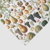 Adolphe Millot Fruit Pattern Seidenpapier (Detail)