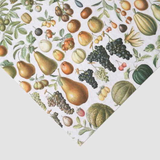 Adolphe Millot Fruit Pattern Seidenpapier (Detail)