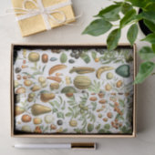 Adolphe Millot Fruit Pattern Seidenpapier (Geschenk)