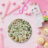 Adolphe Millot - Fruits Pappteller (Party)