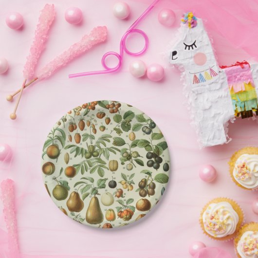 Adolphe Millot - Fruits Pappteller (Party)