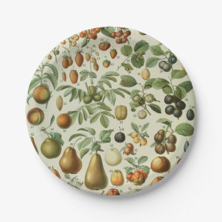 Adolphe Millot - Fruits Pappteller