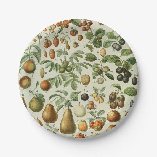 Adolphe Millot - Fruits Pappteller (Vorderseite)