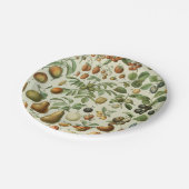 Adolphe Millot - Fruits Pappteller (Schrägansicht)