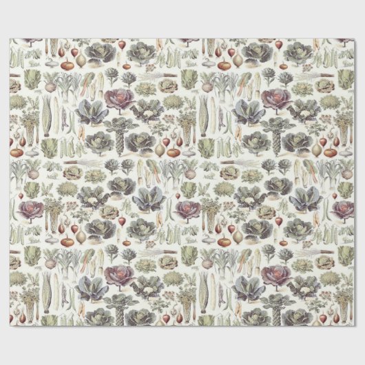 Adolphe Millot Gemüsepapier Geschenkpapier (Flach)