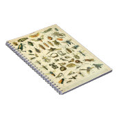 Adolphe Millot Insects Muster-C-Notebook Notizblock (Rechte Seite)