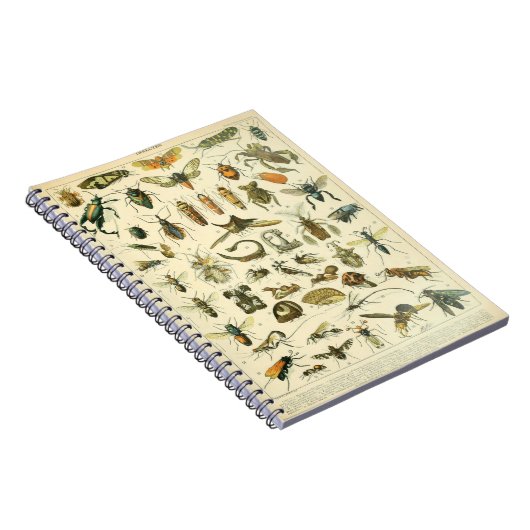 Adolphe Millot Insects Muster-C-Notebook Notizblock (Rechte Seite)