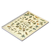 Adolphe Millot Insects Muster-C-Notebook Notizblock (Linke Seite)