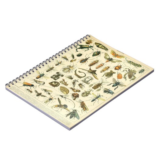 Adolphe Millot Insects Muster-C-Notebook Notizblock (Linke Seite)