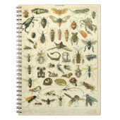 Adolphe Millot Insects Muster-C-Notebook Notizblock (Vorderseite)