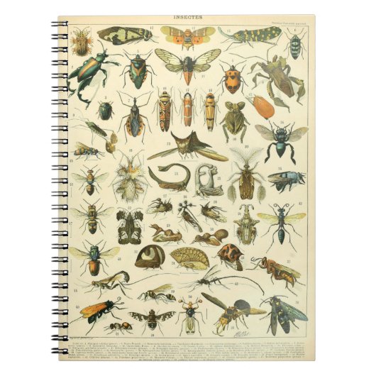 Adolphe Millot Insects Muster-C-Notebook Notizblock (Vorderseite)