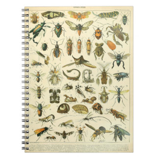 Adolphe Millot Insekten Muster-C Notizbuch Notizblock
