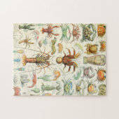 Adolphe Millot Krebstiere Puzzle (Horizontal)